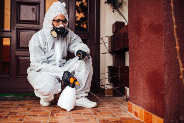 Reliable Cockroach Control contractor in Kirksville, MO by Nex Pest Control